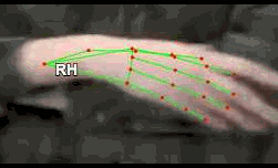 4eb7b941ec19.gif