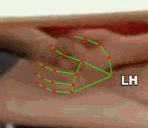 ac681f068868.gif