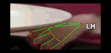 d87a5966030f.gif