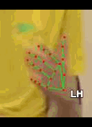 317f8bde7e38.gif