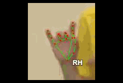 637042651bd3.gif