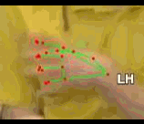 bf8c226e3e6f.gif