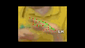 f4cceff04e05.gif