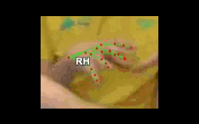 c69b263385c9.gif