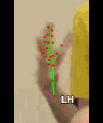 88b72febcced.gif