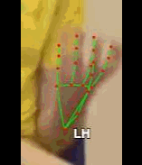 49f05dd14235.gif