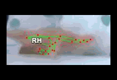 7fa5e23662df.gif