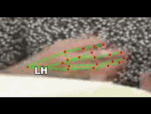 751a8b117899.gif