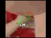 239980de3416.gif