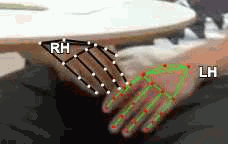 c347addb254c.gif