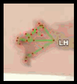 81162ab3fefc.gif
