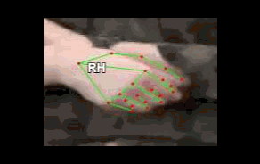 95edcc304b7e.gif