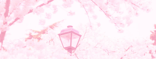 Без названия343 20260626200514.png