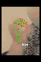 973fc2516221.gif