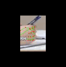 2e4c671e82f3.gif