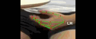 d56e6ea07a3c.gif