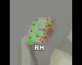 d4e713811cf8.gif