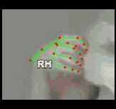 faf2ef951bfe.gif