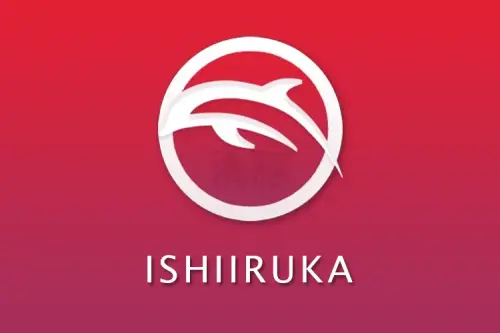 dolphin ishiiruka.webp