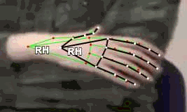 98593055f632.gif