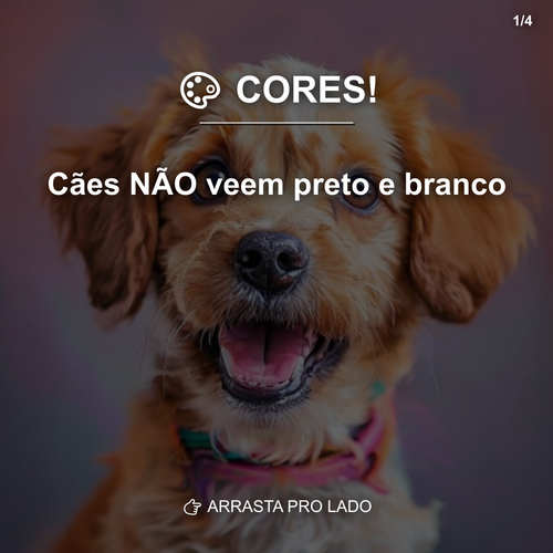 carousel 1782494252579 slide1.png