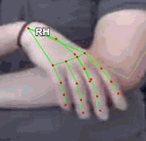 8c26538e6b96.gif