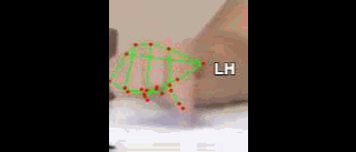 561846aa0c28.gif