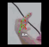 38c739f941f9.gif