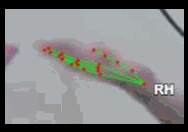 b32e87ba30a1.gif