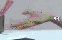 30570853a242.gif