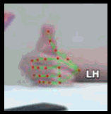 0e3923f59dbe.gif