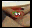 ae78476d2105.gif