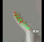a2332288174a.gif