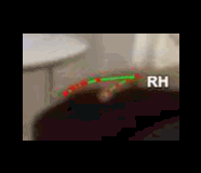 fe5f4a566287.gif