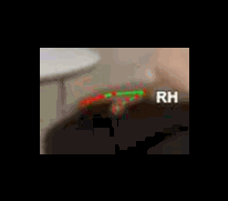 3d0e8bb4800c.gif