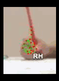 c441132913b2.gif