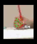 fc9113a7ea85.gif