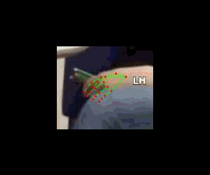 d2b17d5a48e2.gif