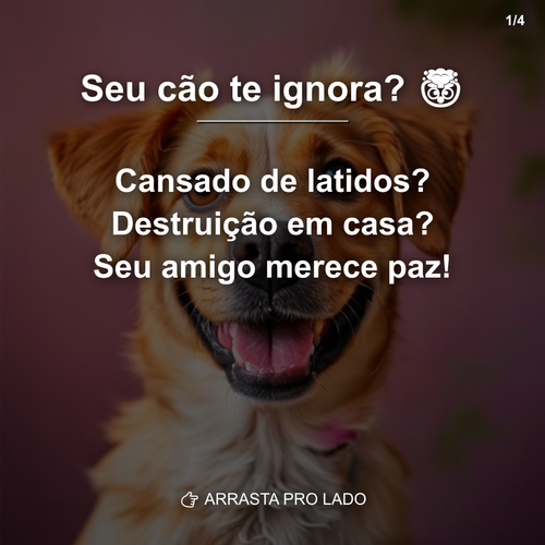 carousel 1782495400890 slide1.png
