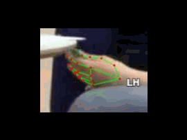 4847d0833d8d.gif