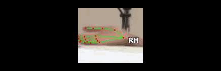 d590c80b4919.gif