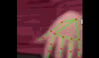 8e6477325c8a.gif