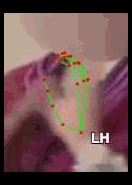 1e7d172b1893.gif