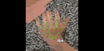 de6373e29182.gif