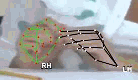 2aae1d80d87d.gif