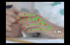 fe7ef63be717.gif