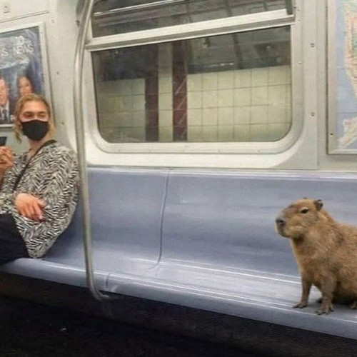 leojunior88.jpg