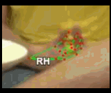 3d7bb98ed54f.gif