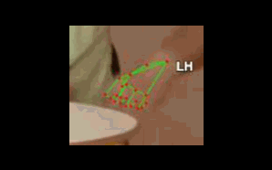 422a1b99f4ca.gif