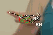 a050647db05d.gif
